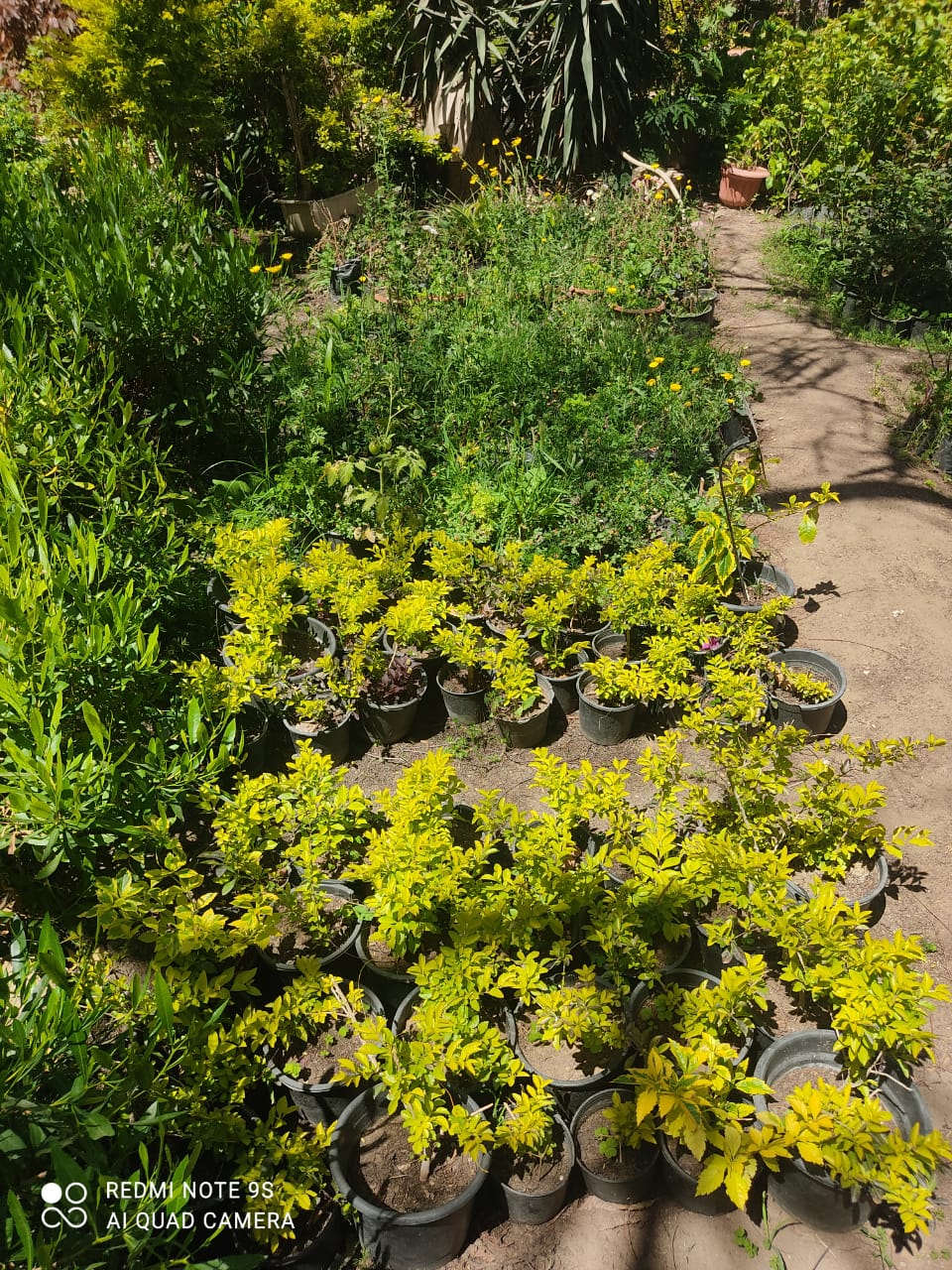 جانب من أعمال الحملة،فيتو