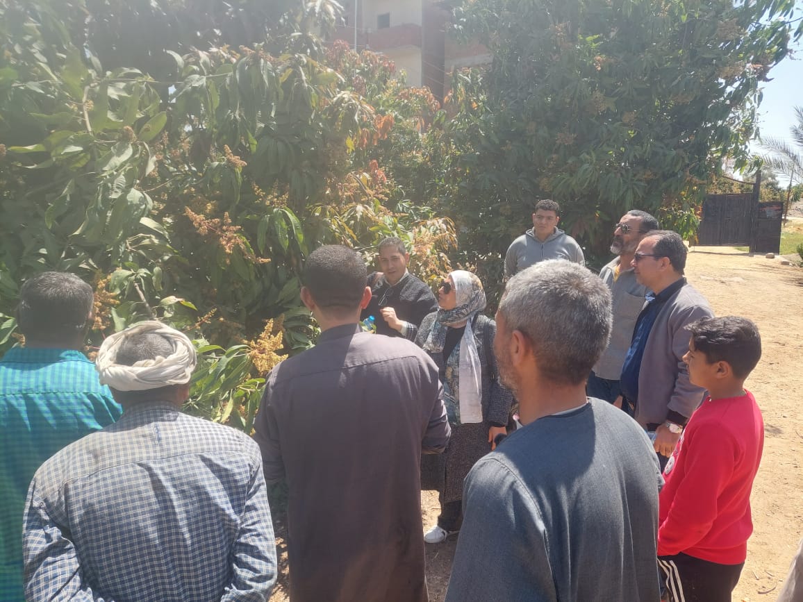 جانب من القافلة،فيتو