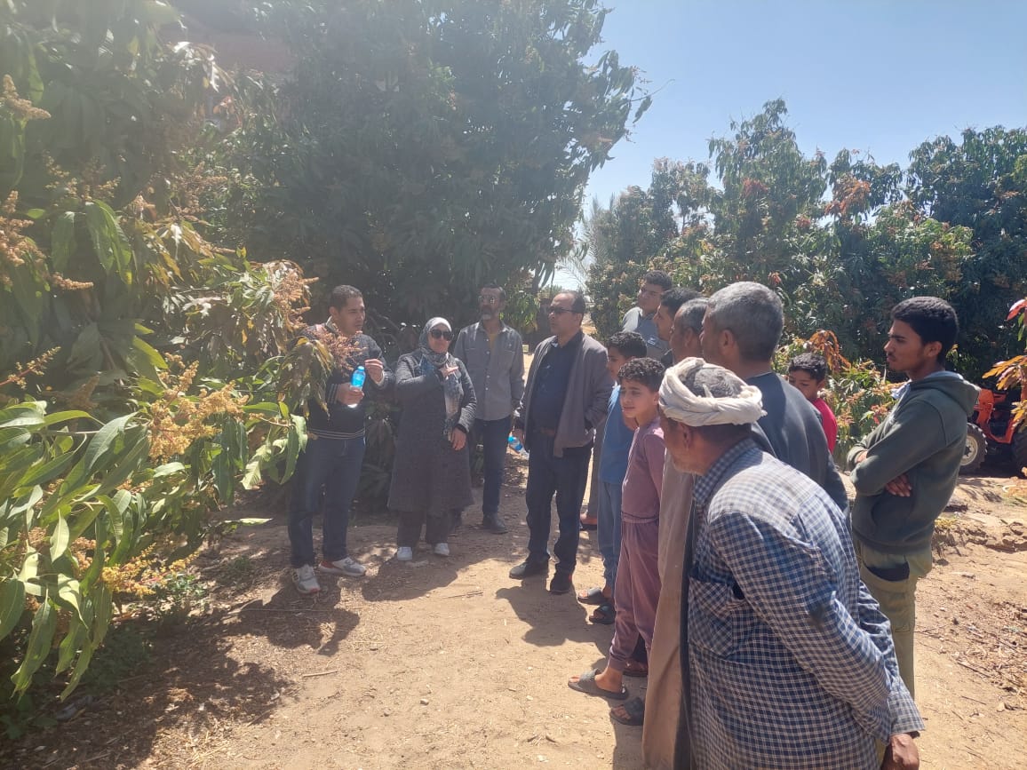 جانب من القافلة،فيتو