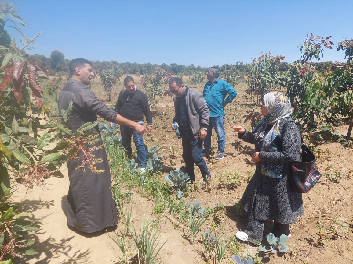 جانب من القافلة،فيتو