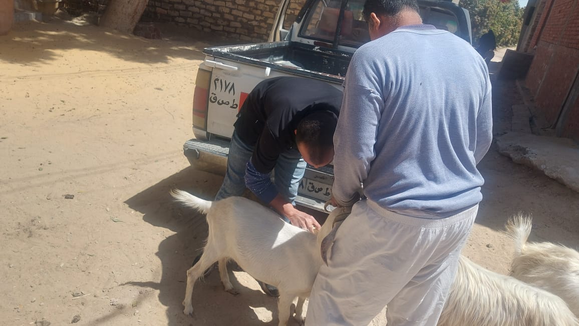 جانب من القافلة،فيتو