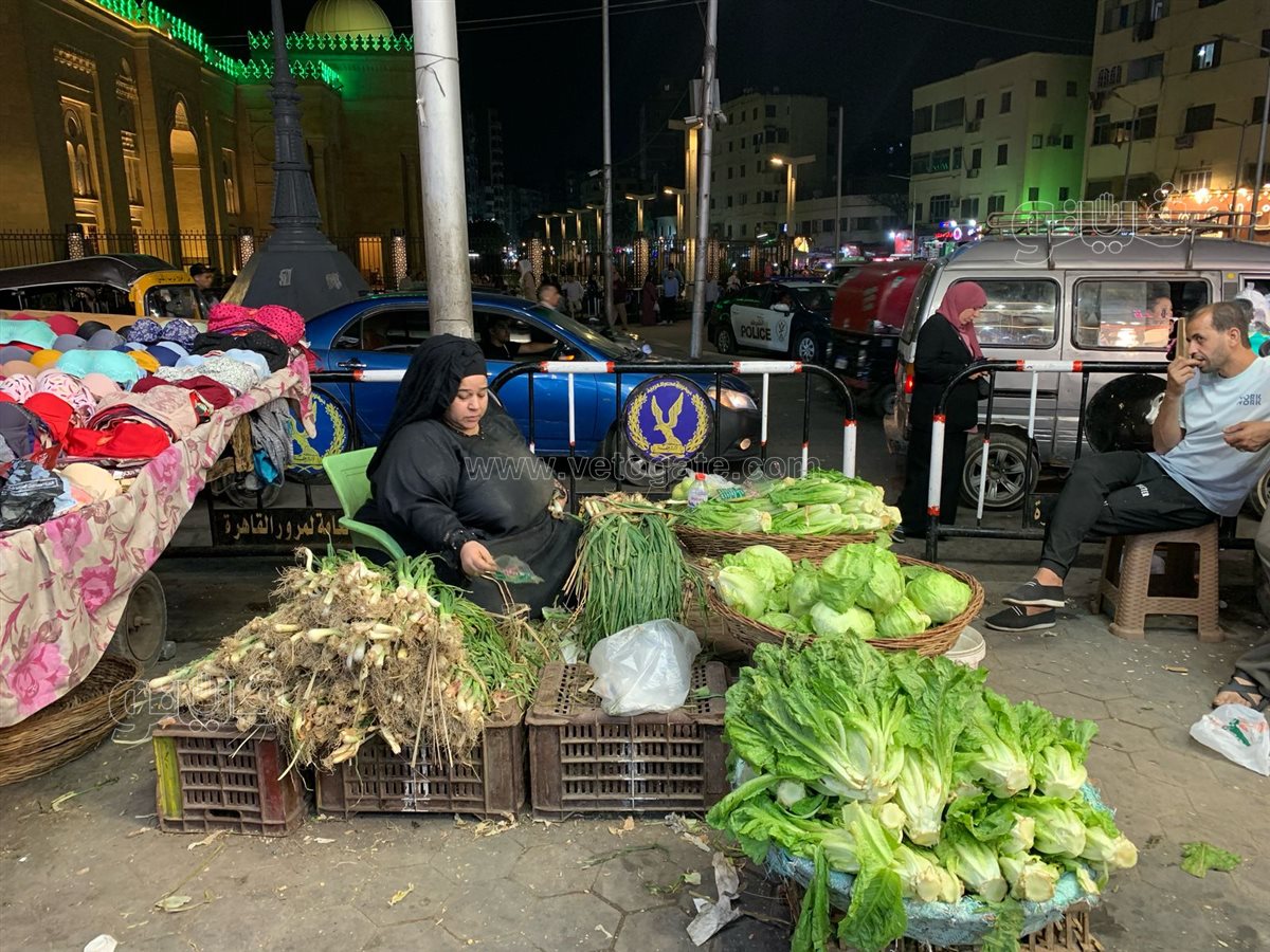  زحام على محلات الفسيخ والرنجة بالسيدة زينب (9)