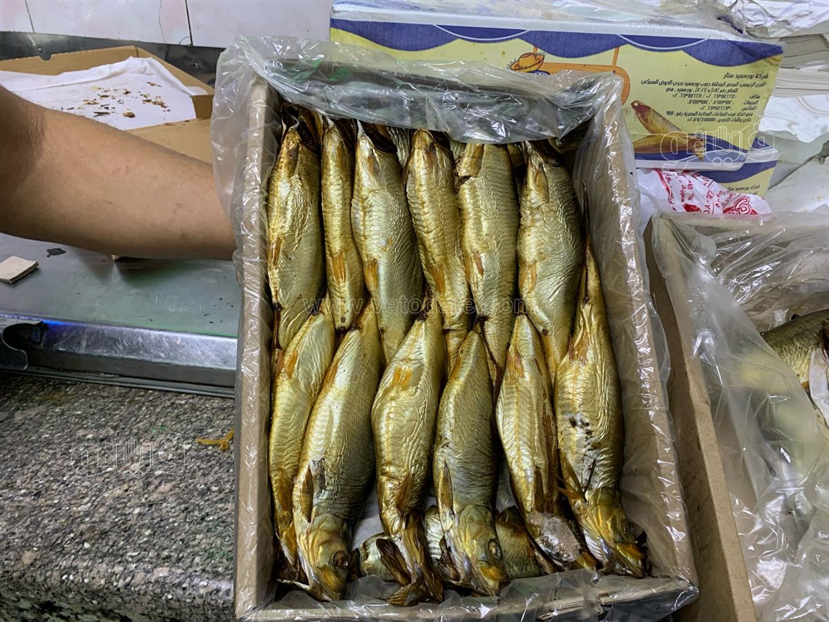  زحام على محلات الفسيخ والرنجة بالسيدة زينب (10)