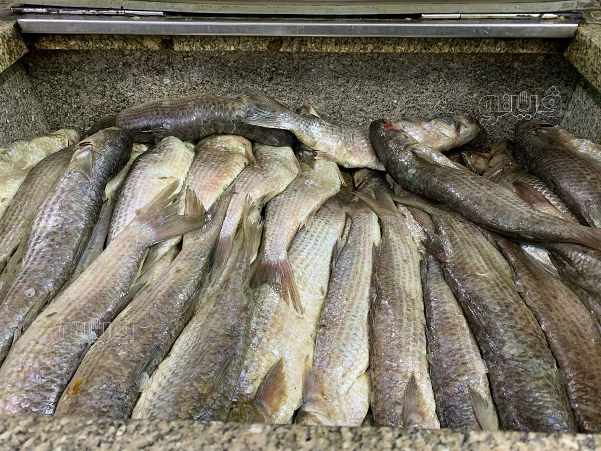  زحام على محلات الفسيخ والرنجة بالسيدة زينب (14)