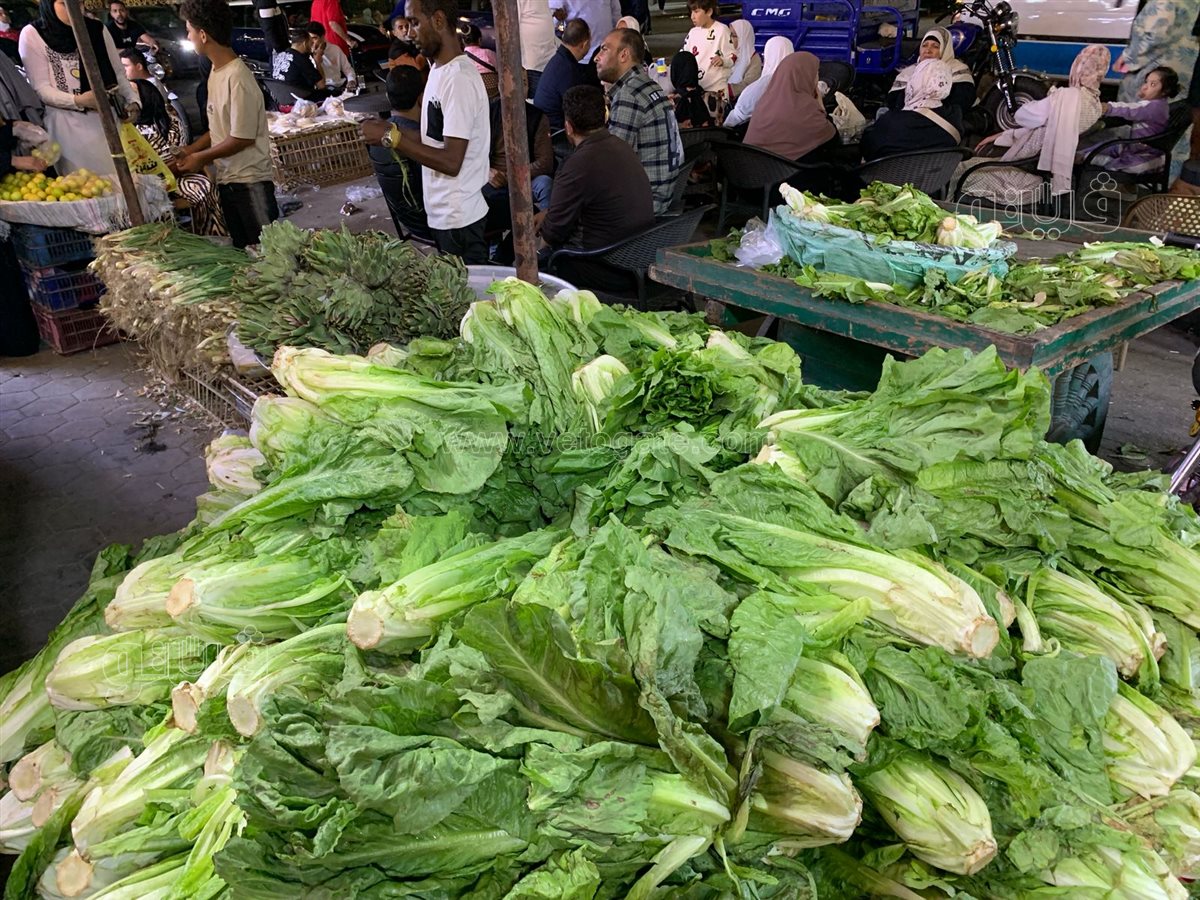  زحام على محلات الفسيخ والرنجة بالسيدة زينب (16)