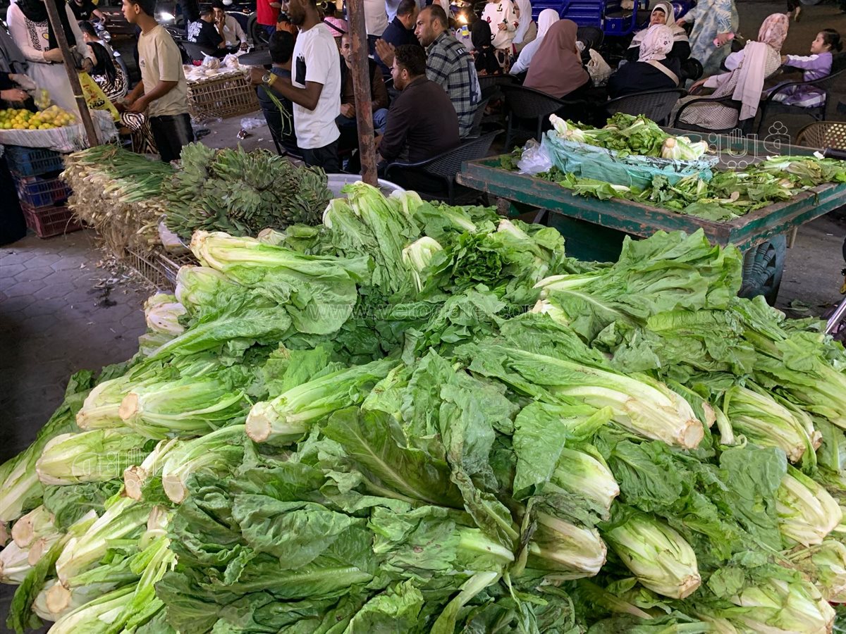  زحام على محلات الفسيخ والرنجة بالسيدة زينب (20)