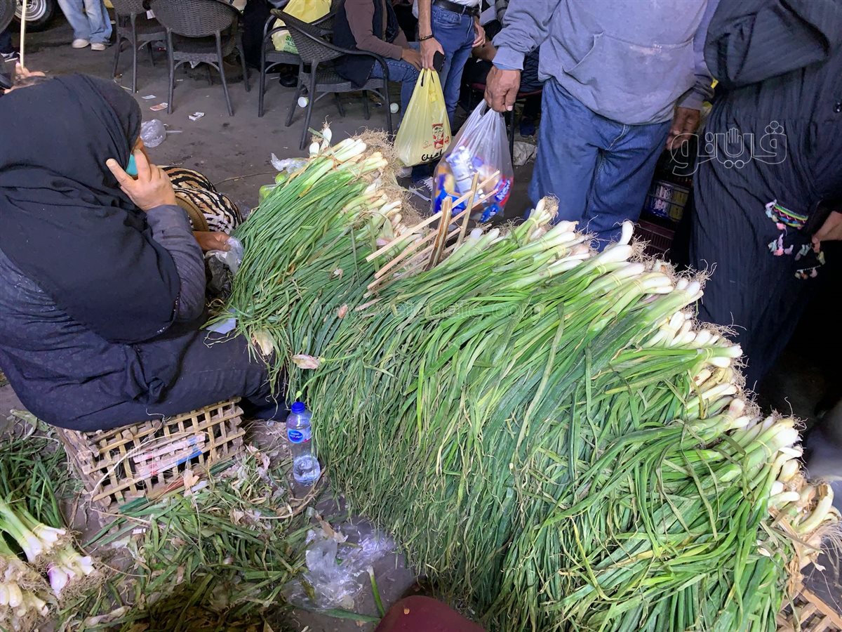  زحام على محلات الفسيخ والرنجة بالسيدة زينب (21)