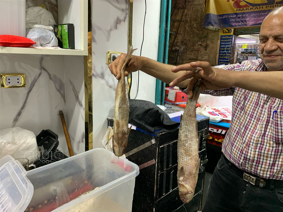  إقبال كبير علي مطاعم الفسيخ والرنجة بمنطقة السيدة زينب (2)