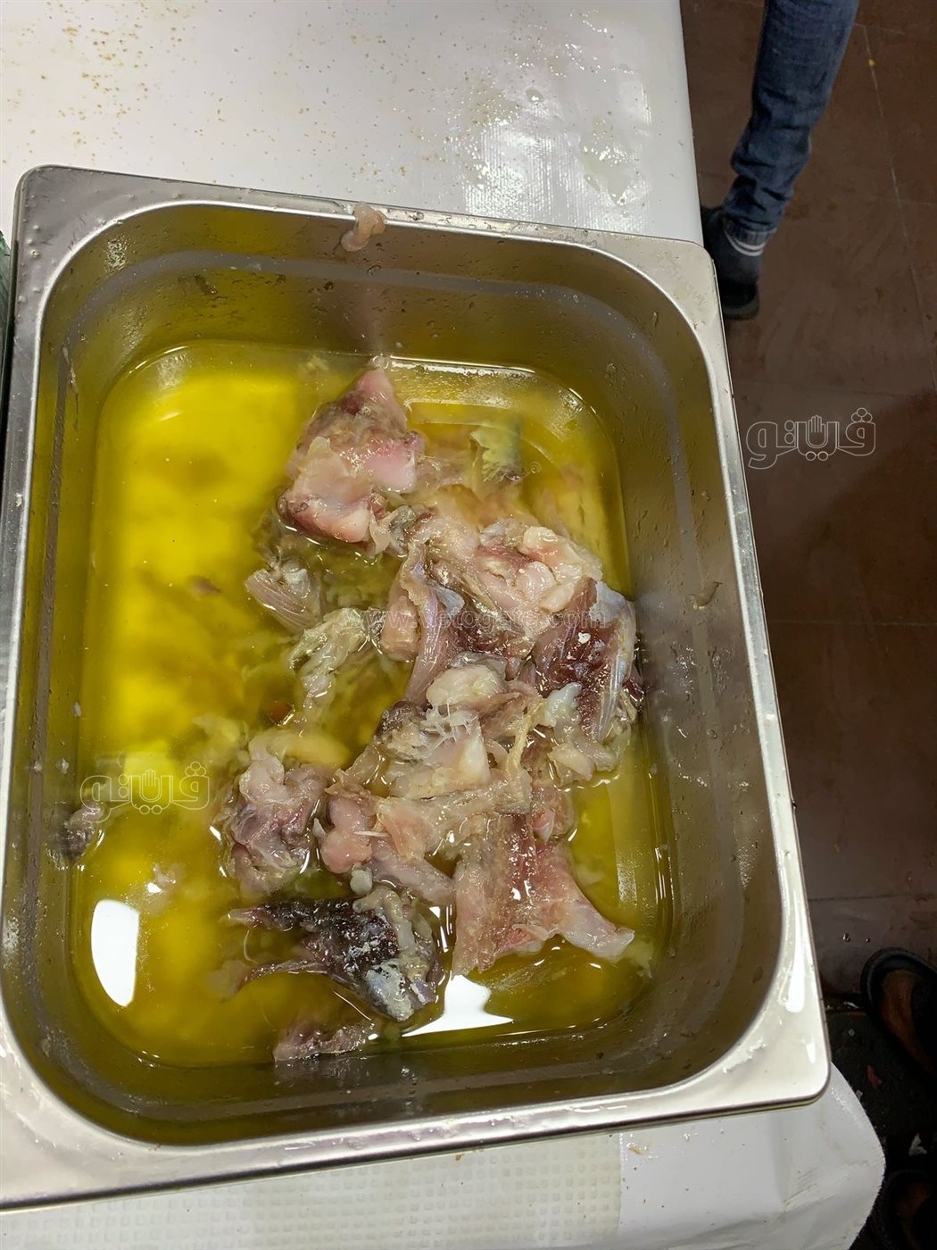  إقبال كبير علي مطاعم الفسيخ والرنجة بمنطقة السيدة زينب (7)