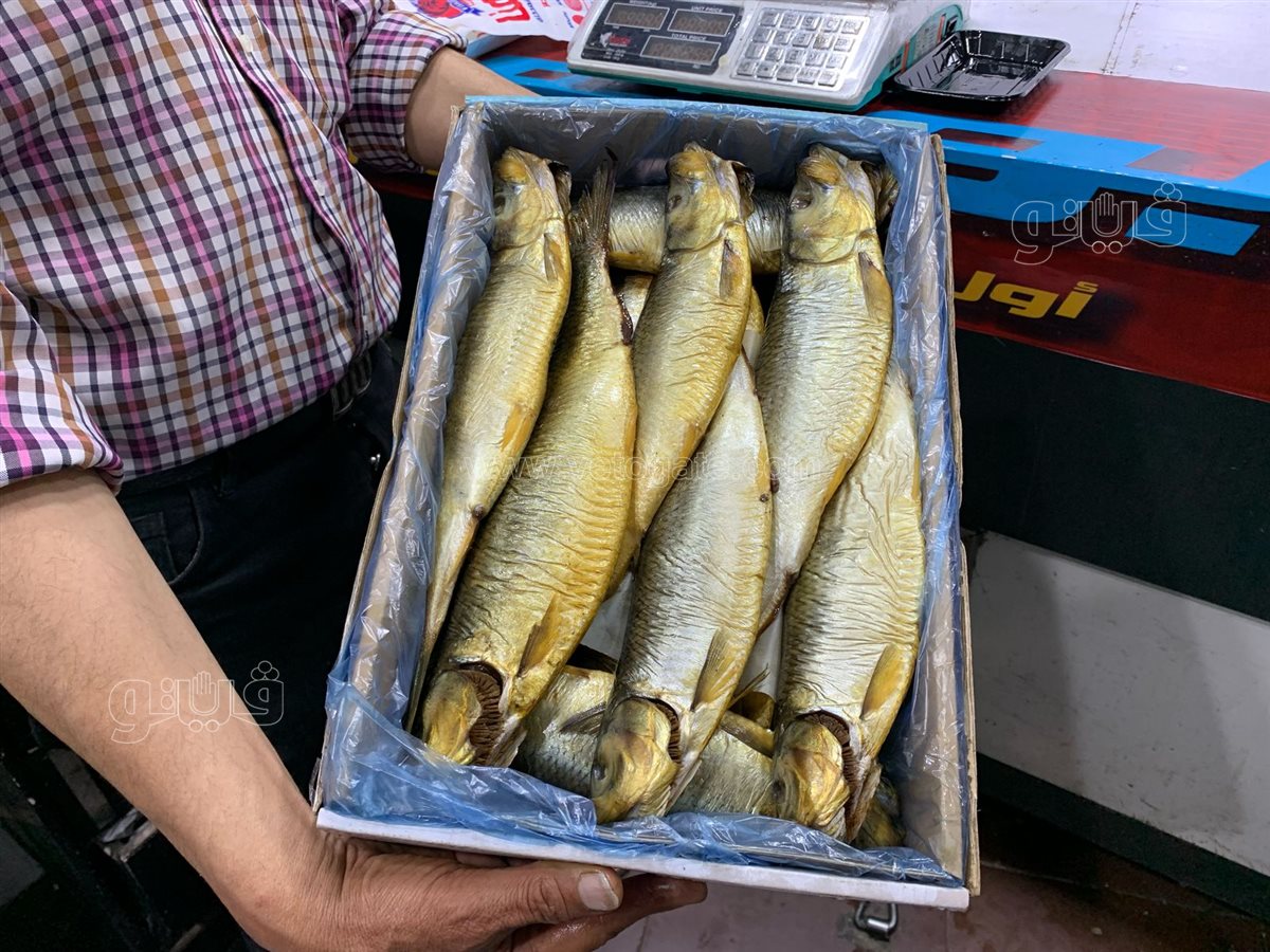  إقبال كبير علي مطاعم الفسيخ والرنجة بمنطقة السيدة زينب (9)