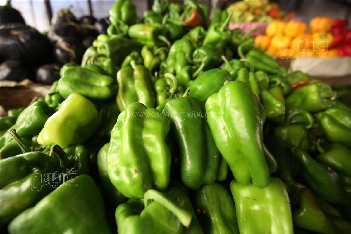 أسعار الخضروات