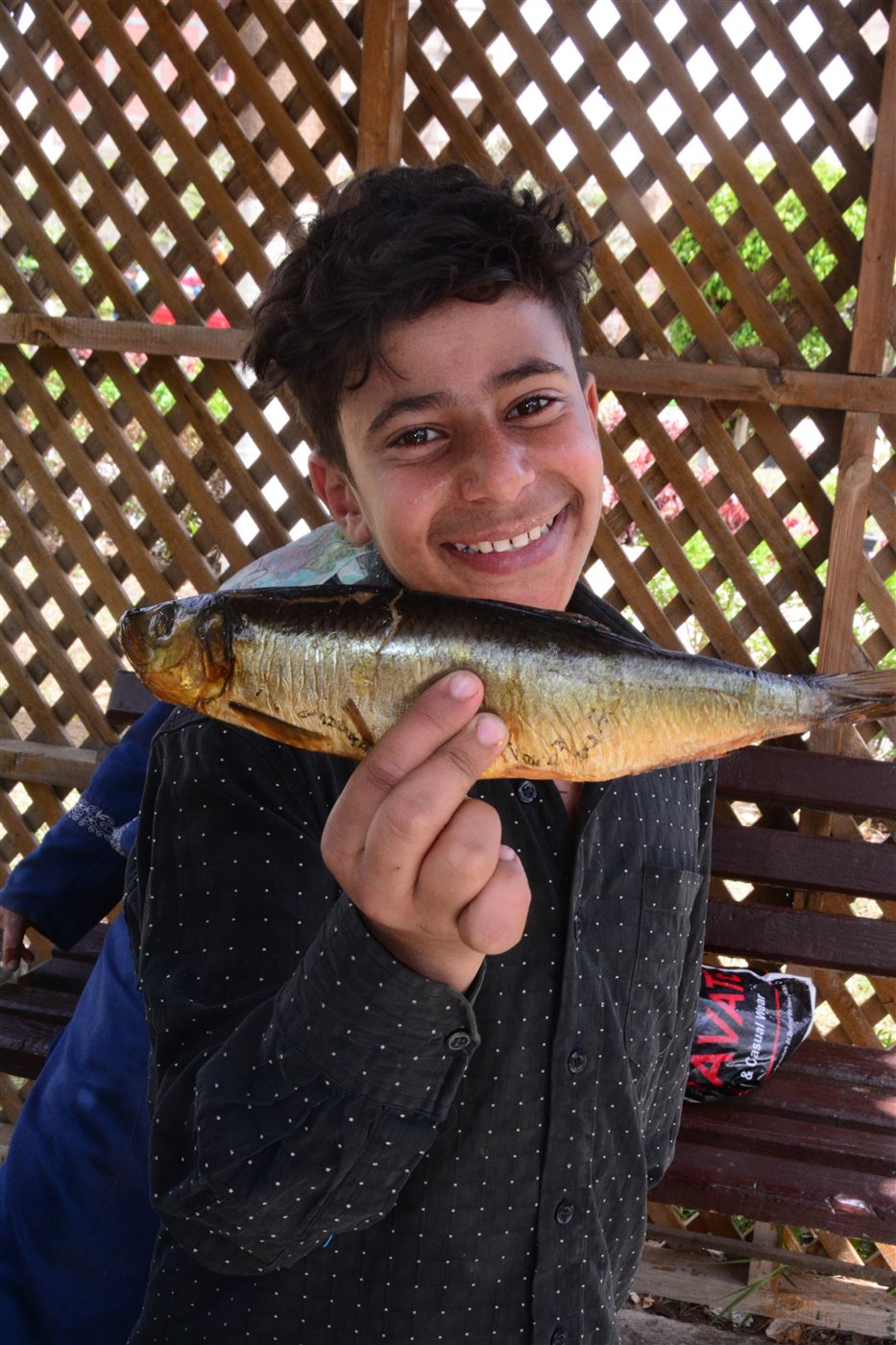 احتفالات شم النسيم 