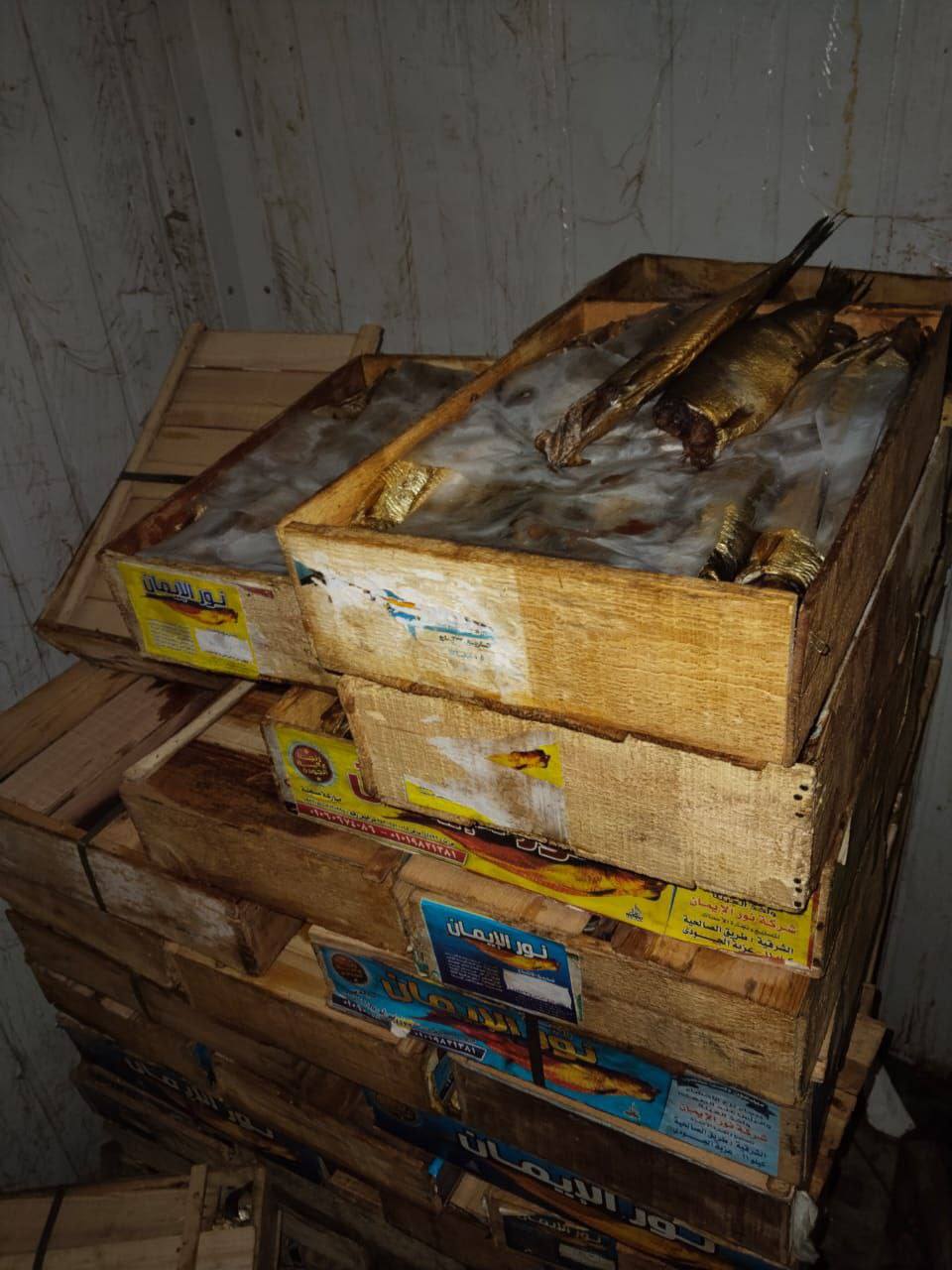 حملات تموينية لضبط الاسماك والرنجة والتاكد من صلاحيتها - فيتو