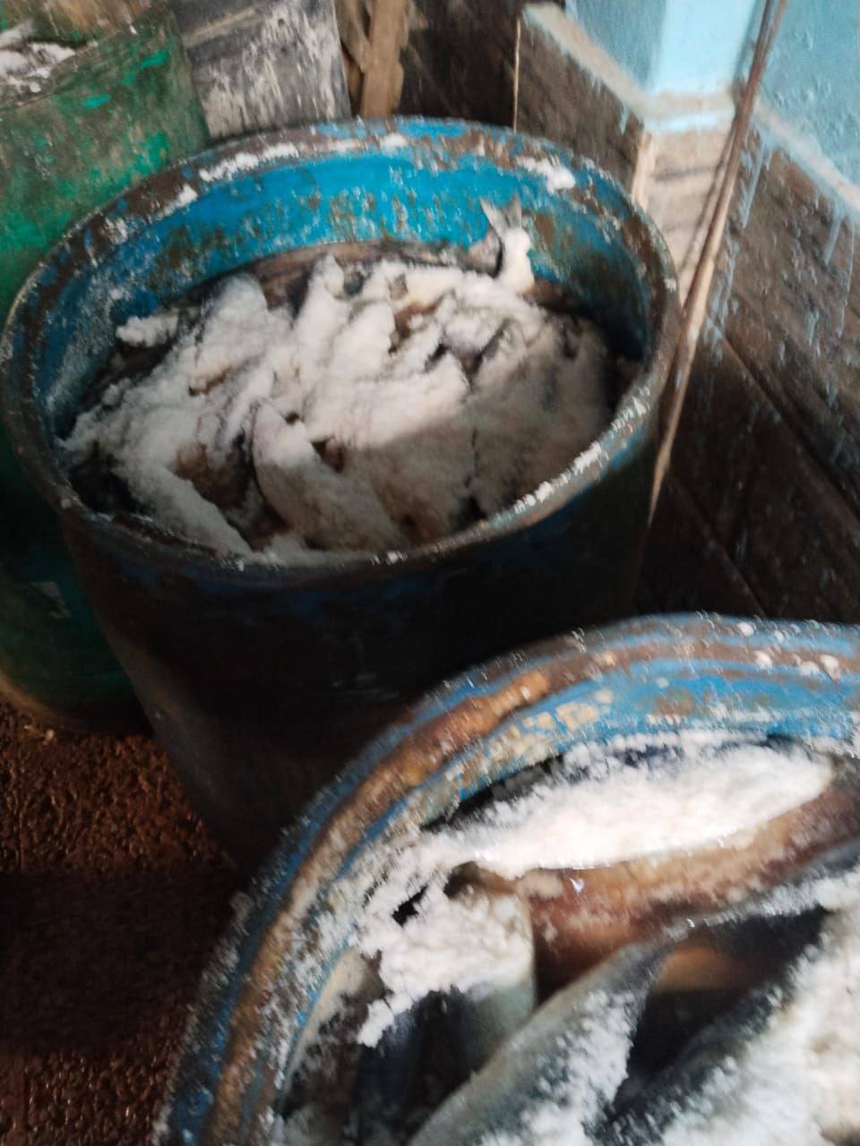 حملات تموينية لضبط الاسماك والرنجة والتاكد من صلاحيتها - فيتو