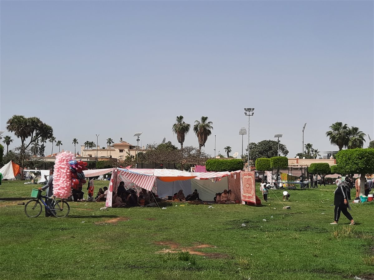 حدائق نمرة 6، فيتو