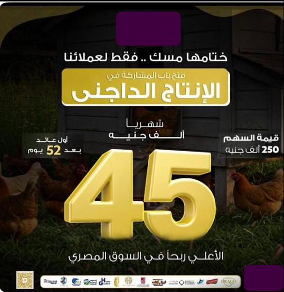 إعلان وهمي للمستريح جديد، فيتو