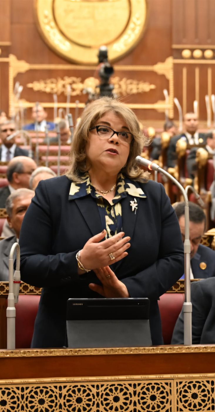 فيبي فوزي وكيل مجلس الشيوخ