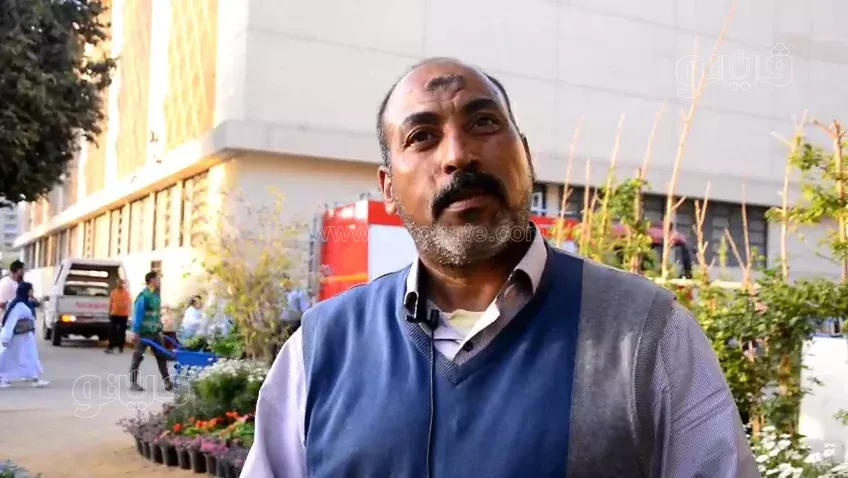 معرض زهور الربيع 