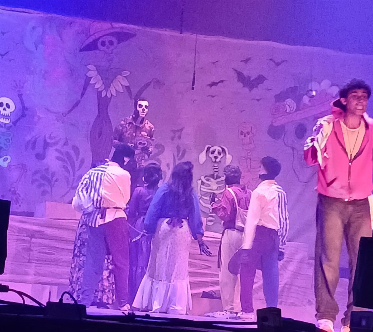 جانب من فعاليات المهرجان، فيتو