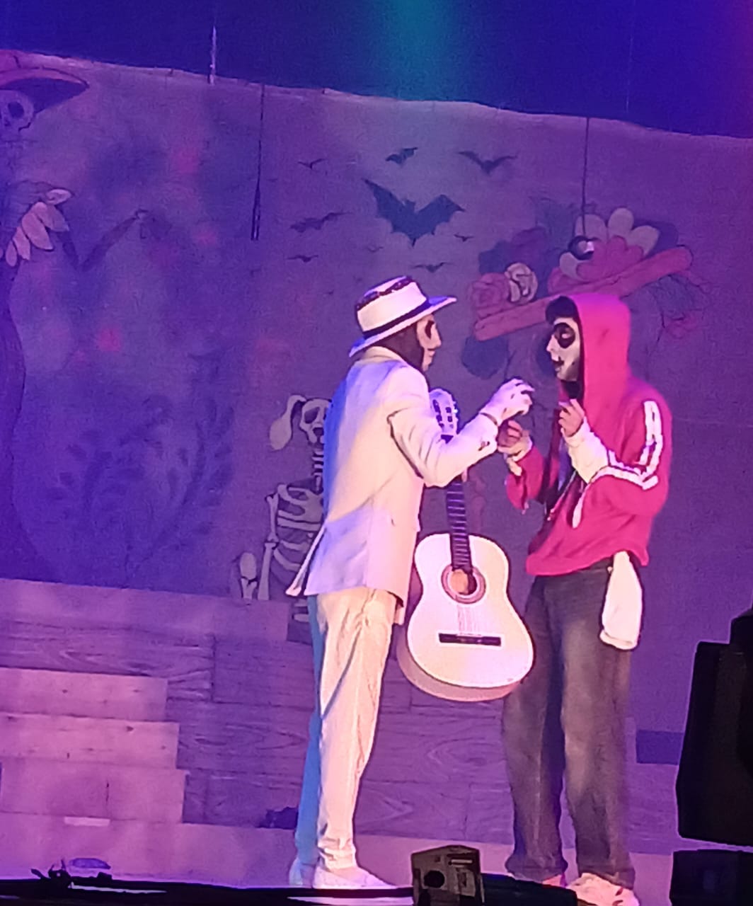 جانب من فعاليات المهرجان، فيتو