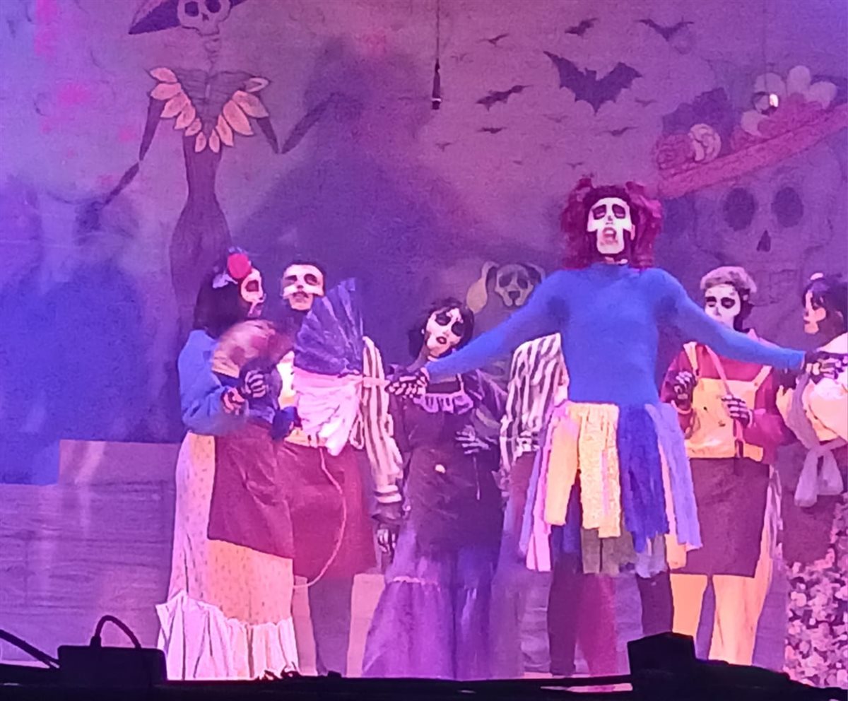 جانب من فعاليات المهرجان، فيتو