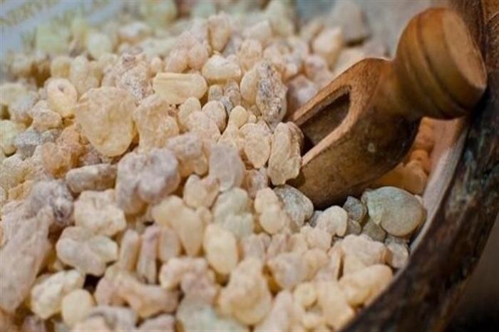 فوائد اللبان الدكر للصحة 