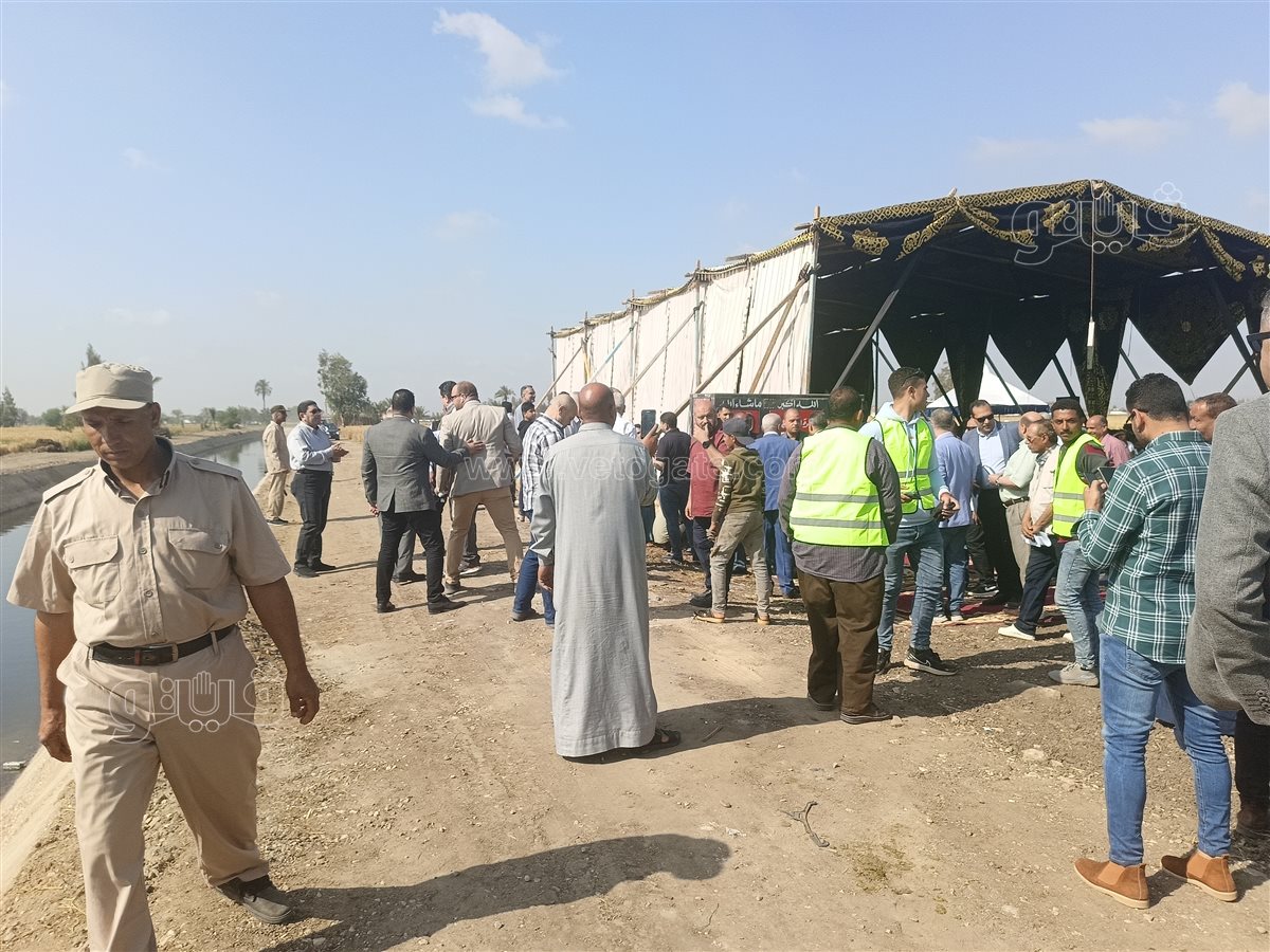 موسم حصاد القمح، فيتو