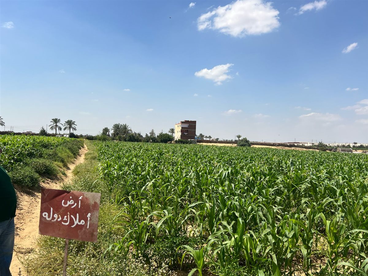 جانب من الحملة،فيتو