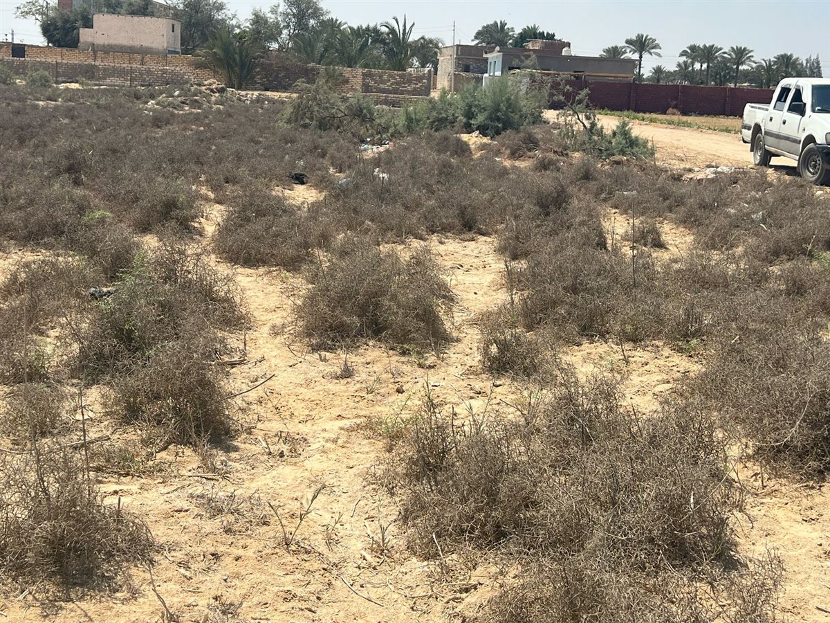 جانب من الحملة،فيتو