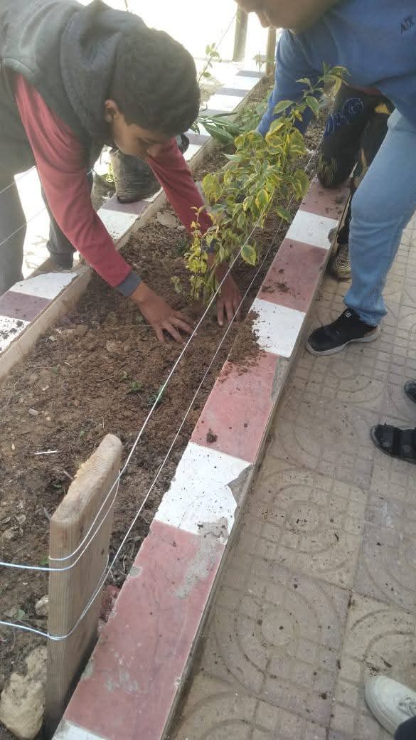 جانب من أعمال المبادرة،فيتو