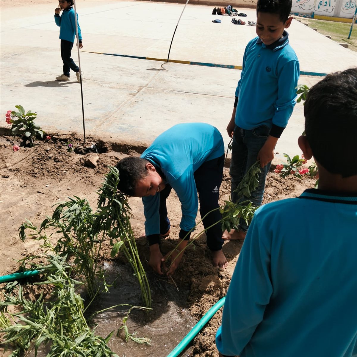 جانب من أعمال المبادرة،فيتو