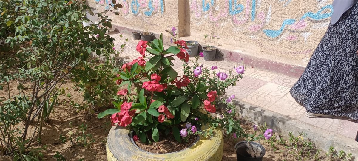 جانب من أعمال المبادرة،فيتو