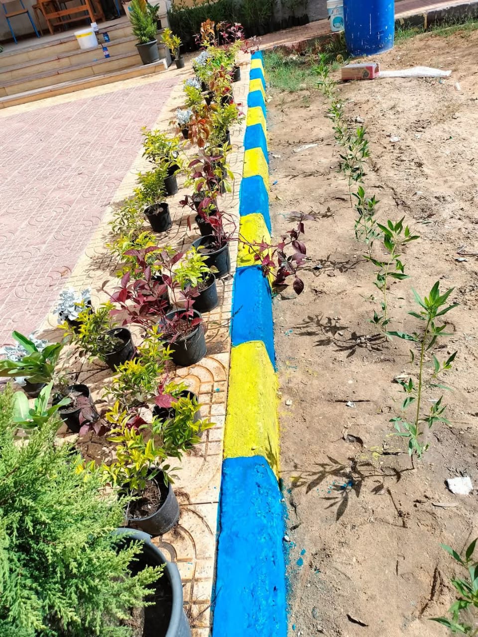 جانب من أعمال المبادرة،فيتو