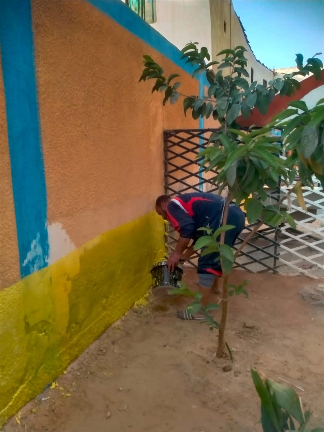 جانب من أعمال المبادرة،فيتو