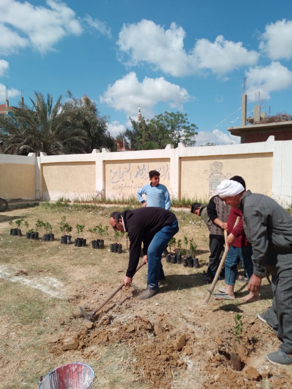 جانب من أعمال المبادرة،فيتو
