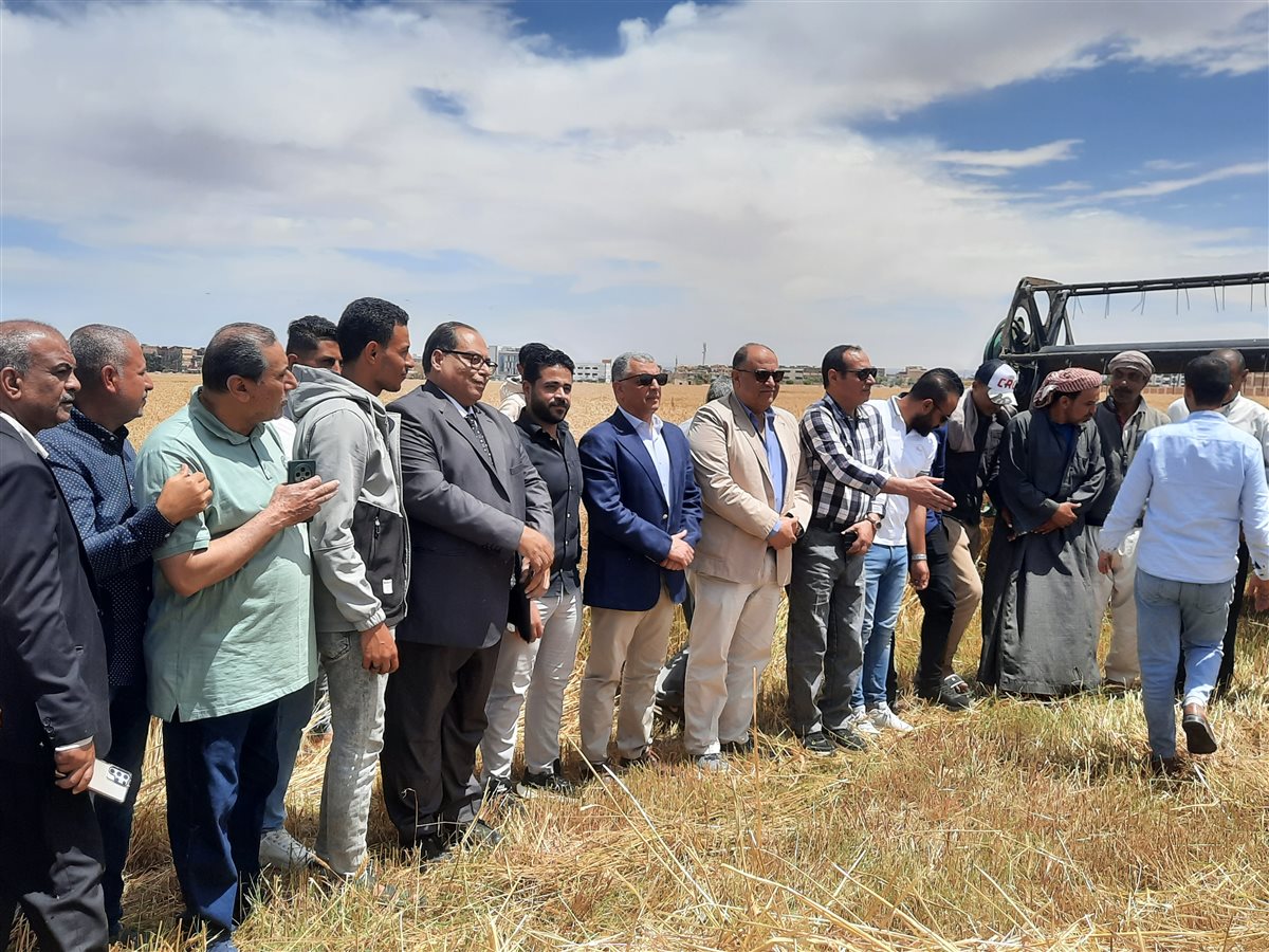 جانب من موسم الحصاد،فيتو