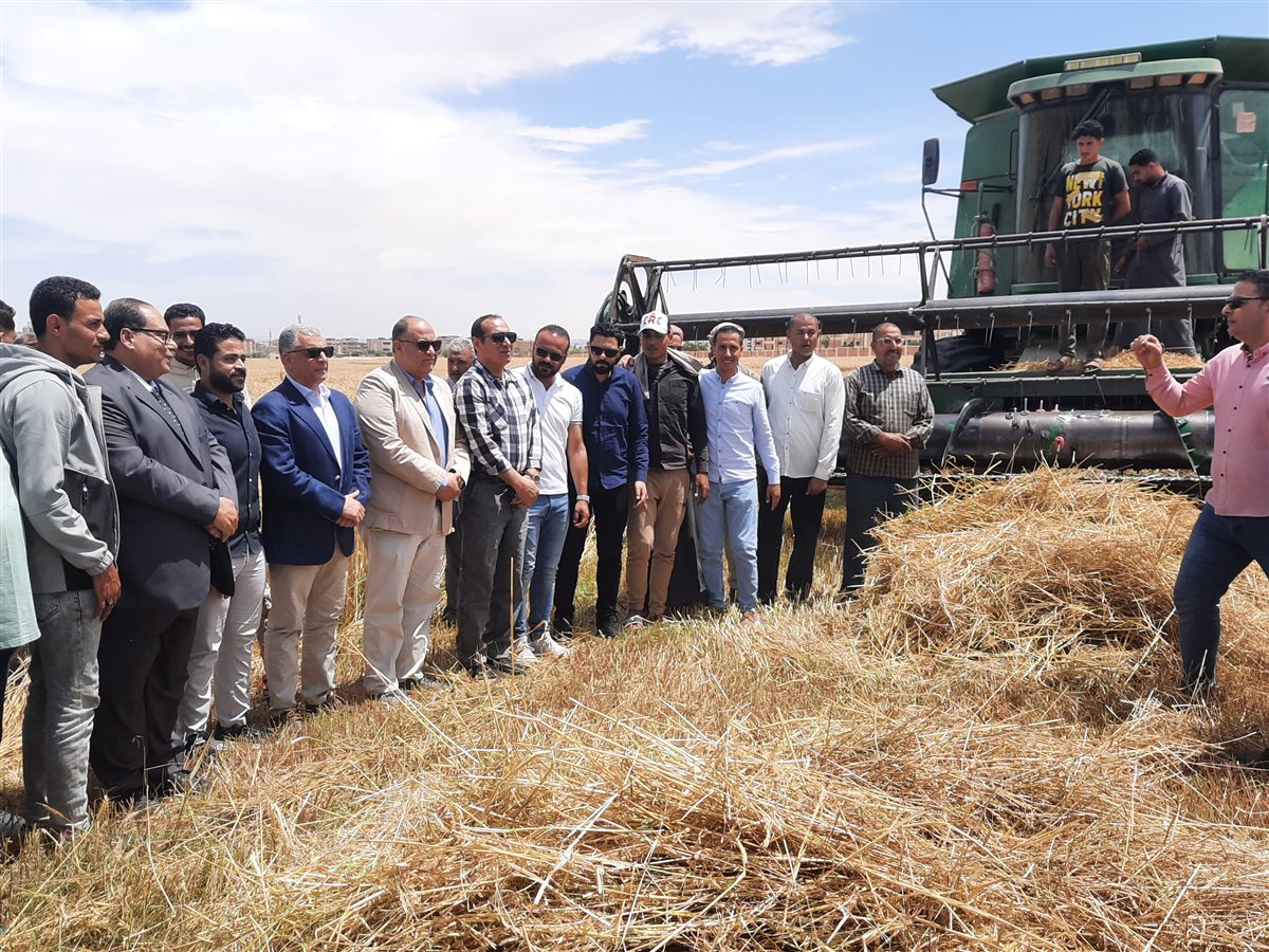 جانب من موسم الحصاد،فيتو