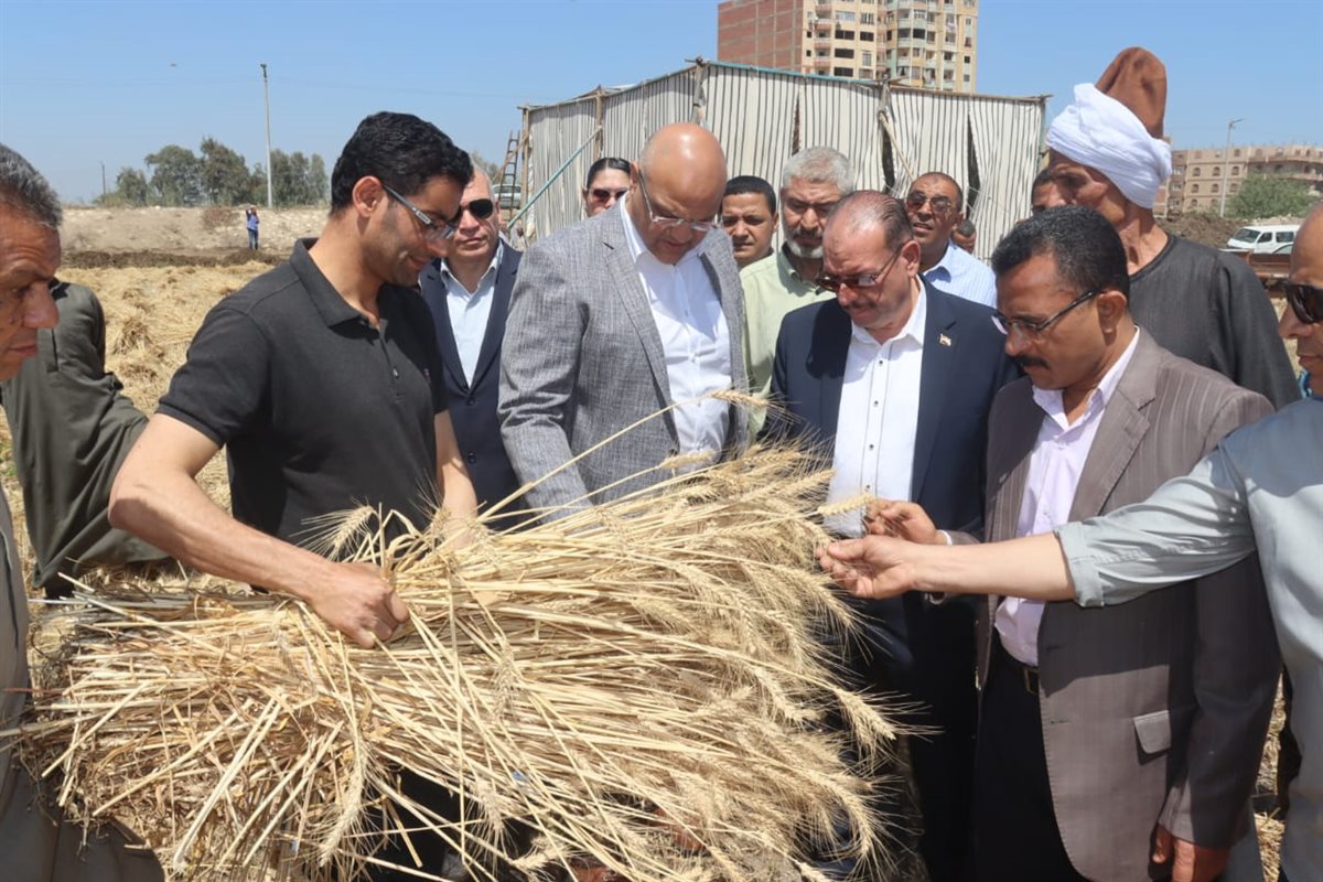 محافظ القليوبية يتابع حصاد محصول القمح، فيتو 