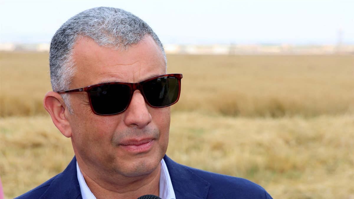 حصاد القمح بالإسماعيلية، فيتو