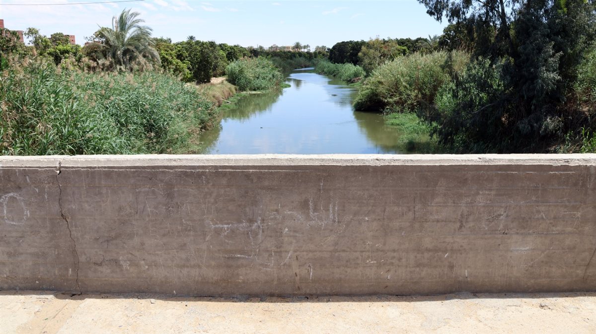 جانب من الجولة، فيتو