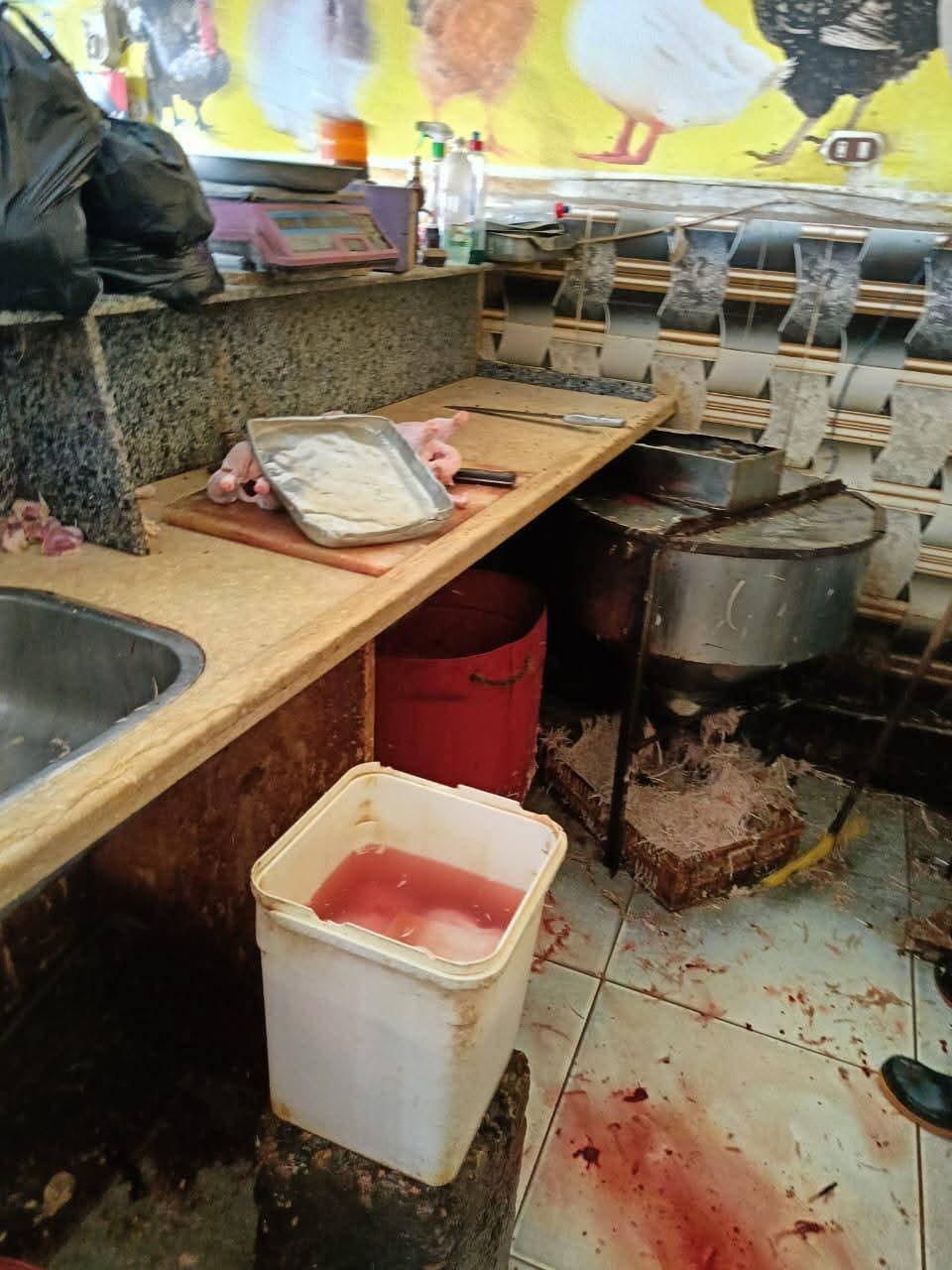 جانب من الحملة،فيتو