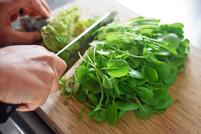 فوائد الجرجير للصحة 