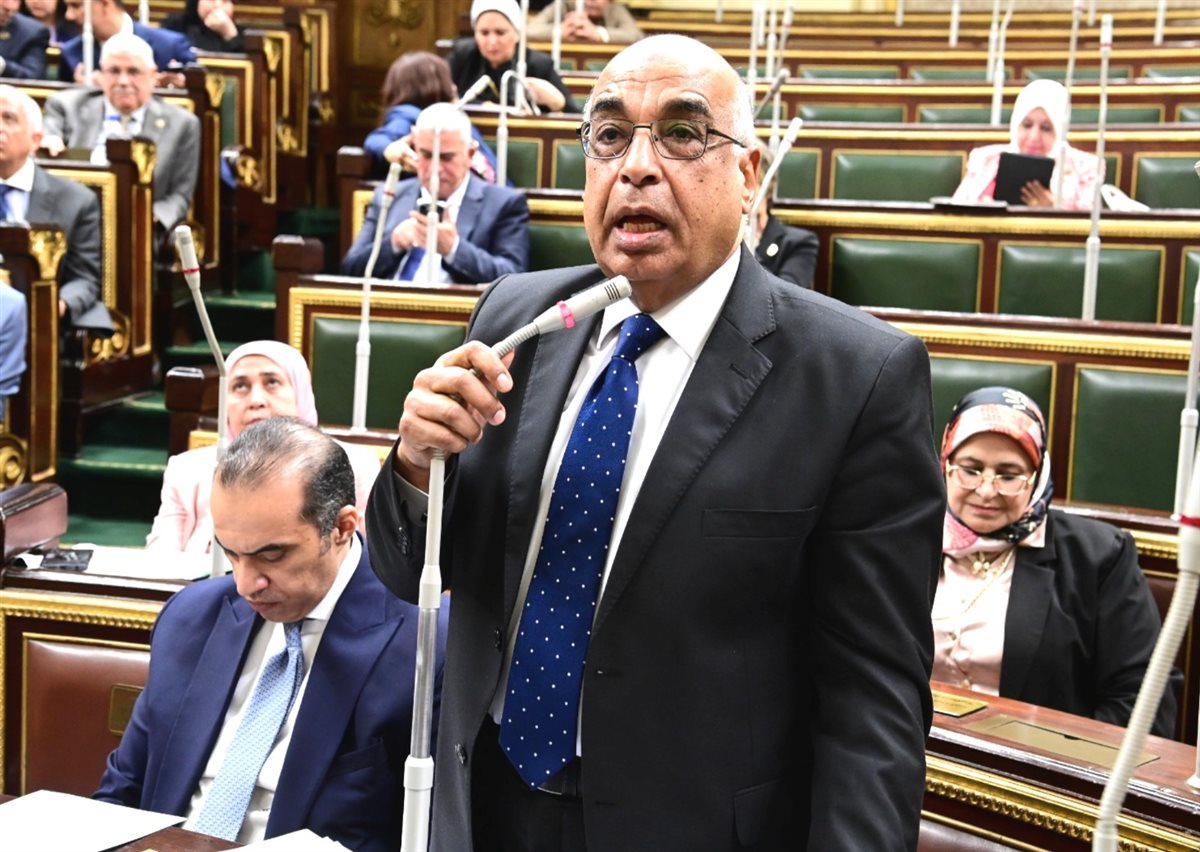 وزير العدل أمام جلسة النواب