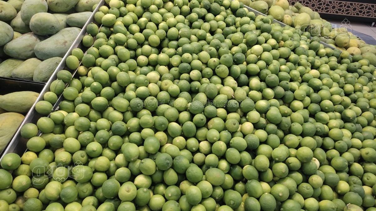 أسعار الخضروات 