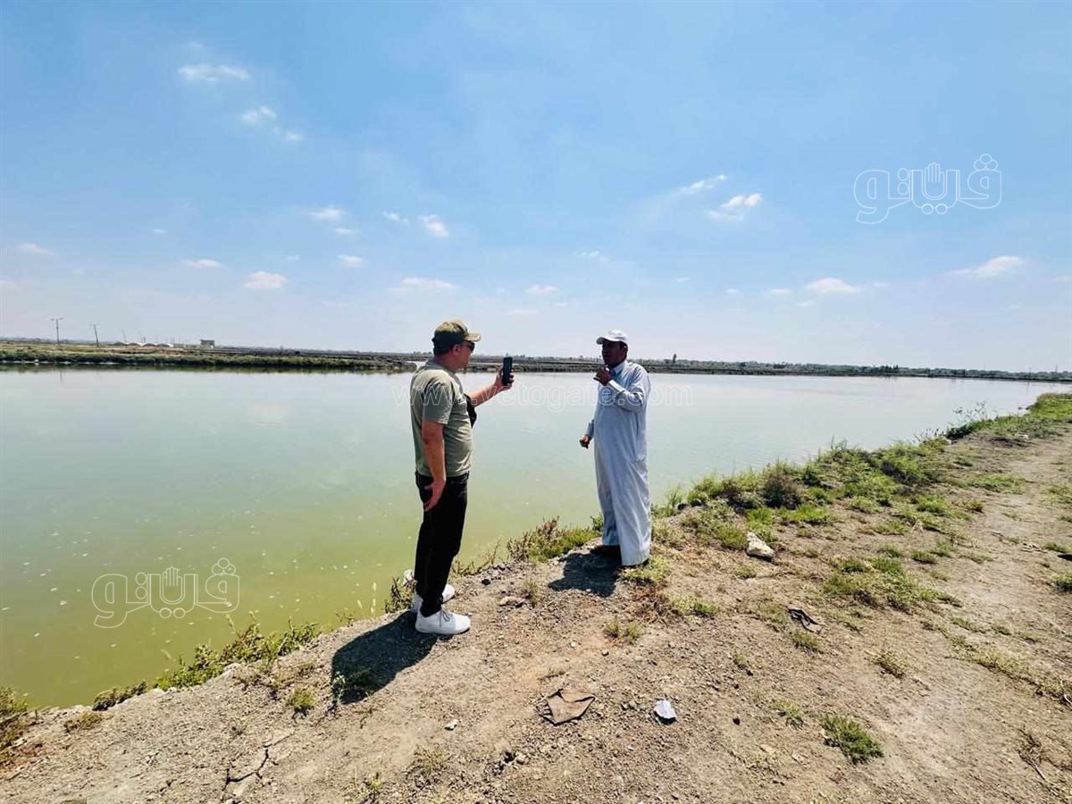 جولة داخل مفرخ العباسة بالشرقية للاستزراع السمكى،فيتو