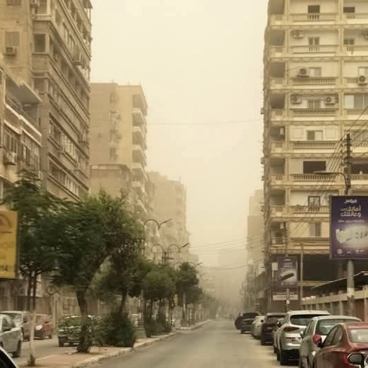 العاصفة الترابية في المنيا، فيتو 