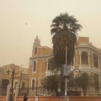 العاصفة الترابية في المنيا، فيتو