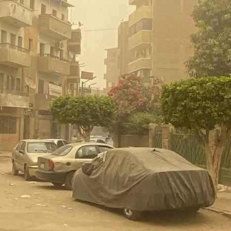 العاصفة الترابية في المنيا، فيتو