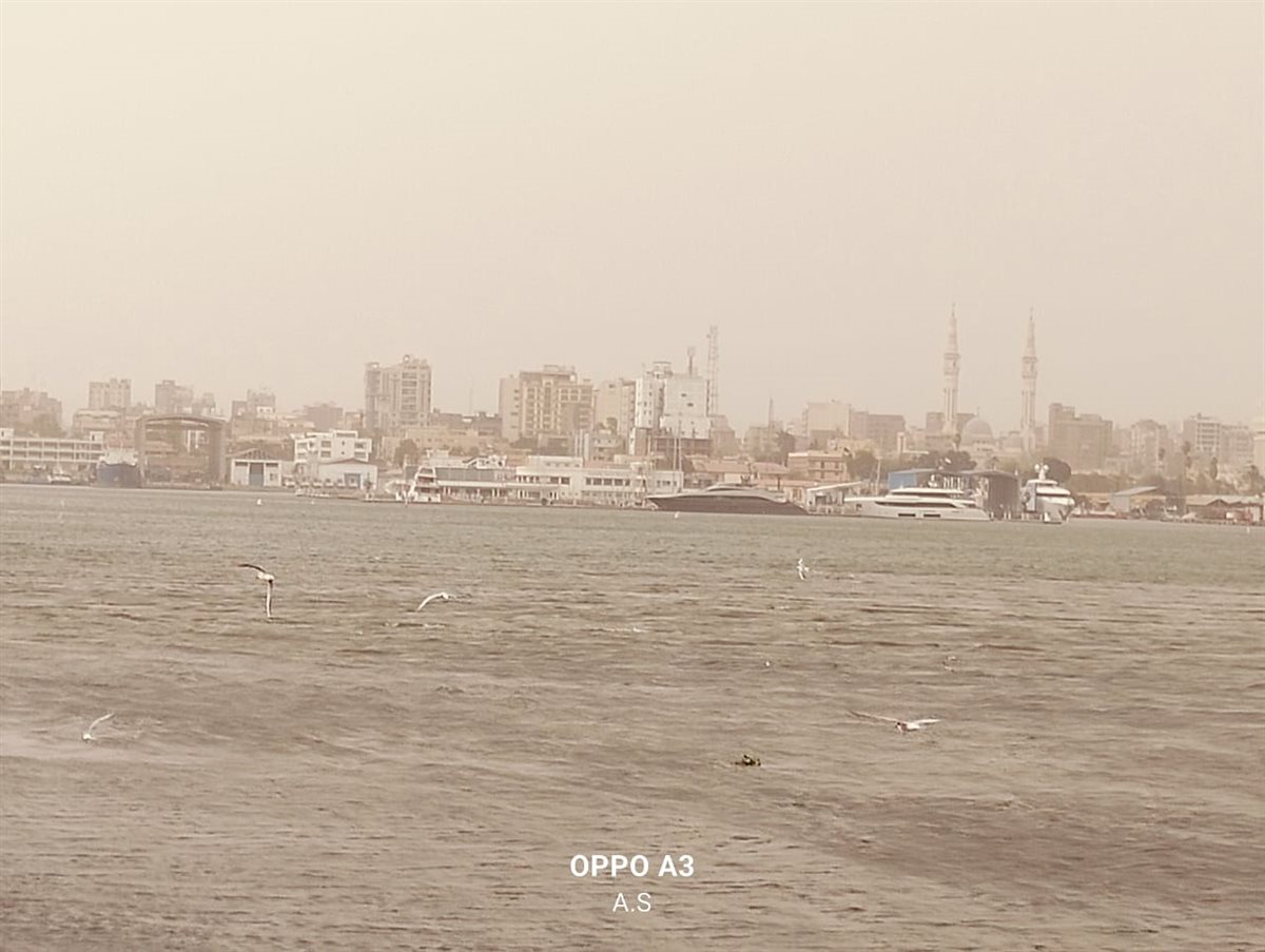 العاصفة التربية بالإسماعيلية، فيتو