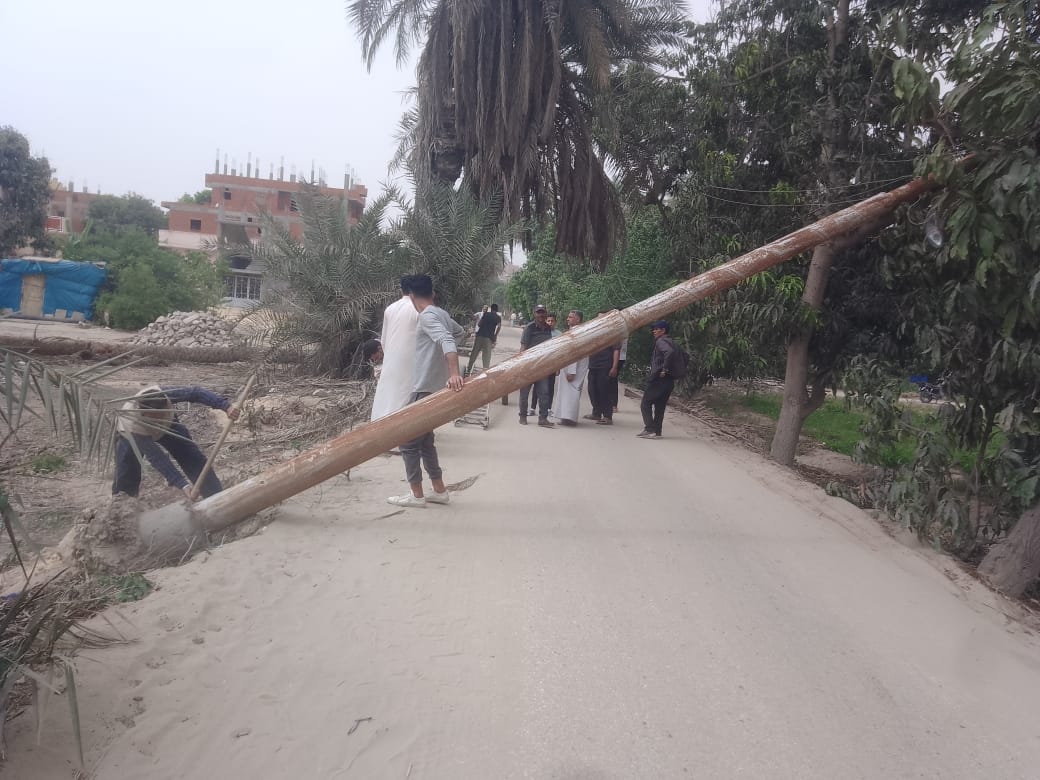 سقوط أشجار واعمدة انارة،فيتو